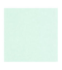Papier Peint CASELIO Céramique CER105247000