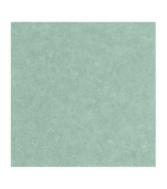 Papier Peint CASELIO Céramique CER105247670