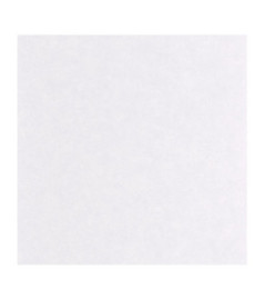 Papier Peint CASELIO Céramique CER105249110