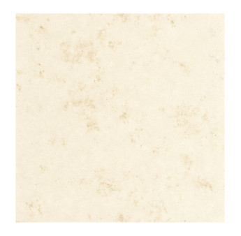 Papier Peint CASELIO Céramique CER105250020