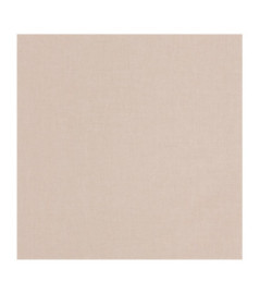 Papier Peint CASELIO Essentiel ETL100601212