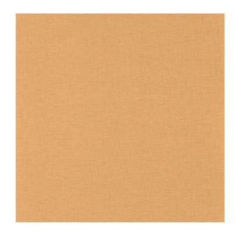 Papier Peint CASELIO Gaze GAZ103762212