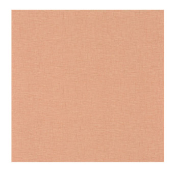 Papier Peint CASELIO Gaze GAZ103764010