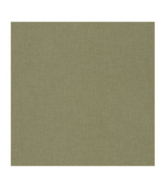 Papier Peint CASELIO Green & Co GCO100607405