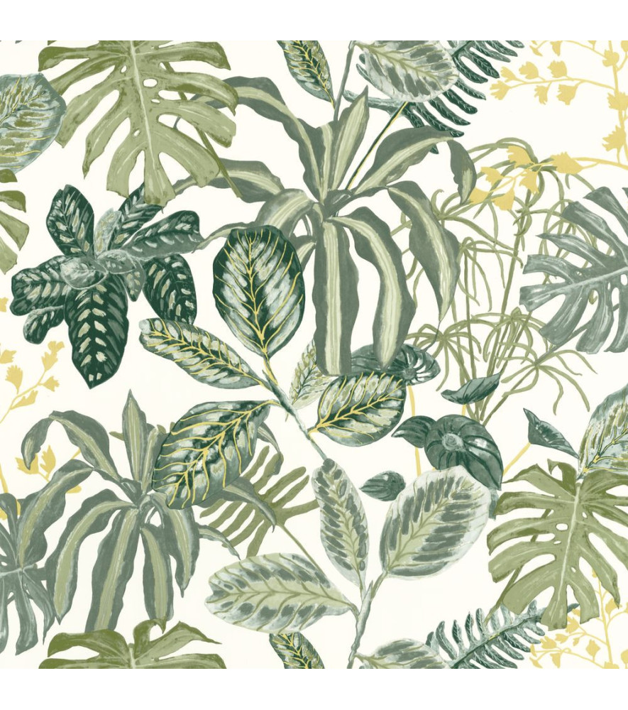 Papier Peint CASELIO Green & Co GCO103897067 Papier Peint CASELIO Green & Co GCO103897067