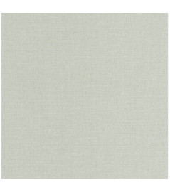 Papier Peint CASELIO Jute JTE104017000