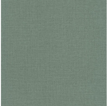 Papier Peint CASELIO Jute JTE104017789
