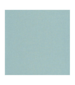 Papier Peint CASELIO Linen Edition LNE103236321