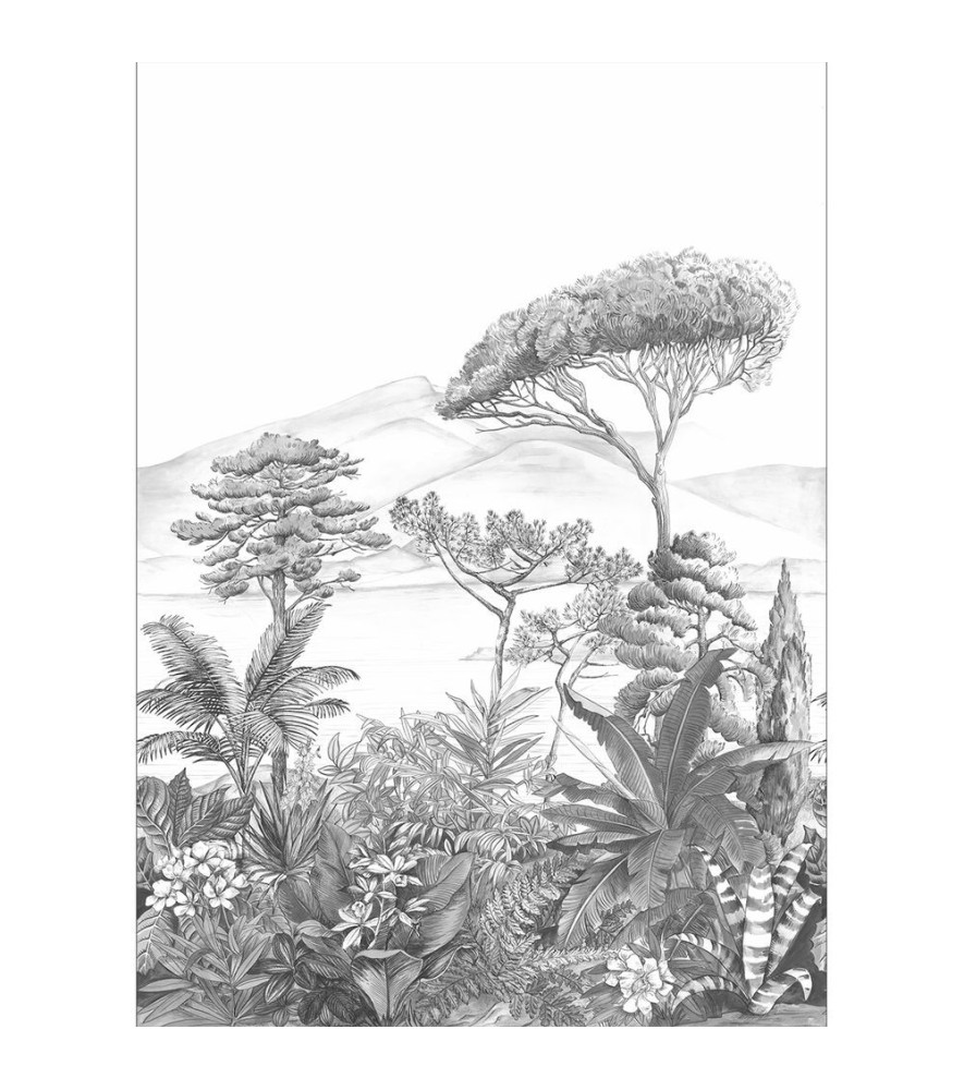 Panoramique CASELIO Nos Gravures NGR103050978 Panoramique CASELIO Nos Gravures NGR103050978