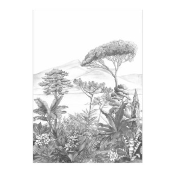 Panoramique CASELIO Nos Gravures NGR103050978