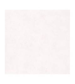 Papier Peint CASELIO Patine 2 PAE100220000