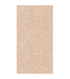 Papier Peint CASELIO Patine 2 PAE100221862