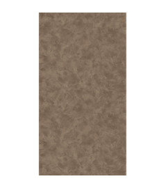 Papier Peint CASELIO Patine 2 PAE100221987