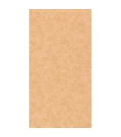 Papier Peint CASELIO Patine 2 PAE100222219