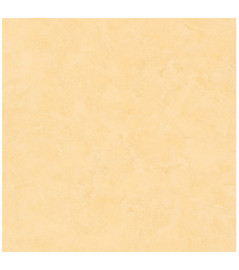 Papier Peint CASELIO Patine 2 PAE100222508