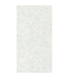 Papier Peint CASELIO Patine 2 PAE100226044