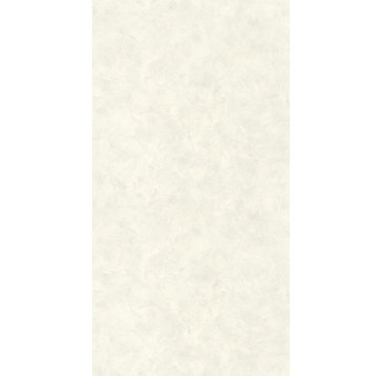 Papier Peint CASELIO Patine 2 PAE100227129