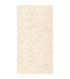 Papier Peint CASELIO Patine 2 PAE103681238