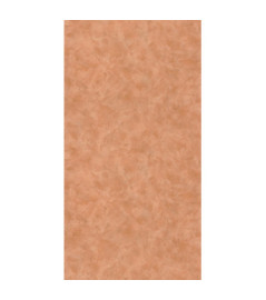 Papier Peint CASELIO Patine 2 PAE103682485