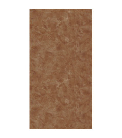 Papier Peint CASELIO Patine 2 PAE103682533