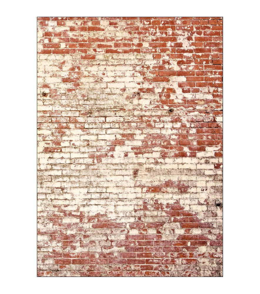 Panoramique CASELIO Pimp my Wall PMW103438203 Panoramique CASELIO Pimp my Wall PMW103438203