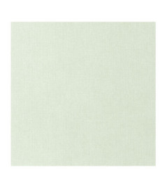 Papier Peint CASELIO Stay Wild WILD104997013