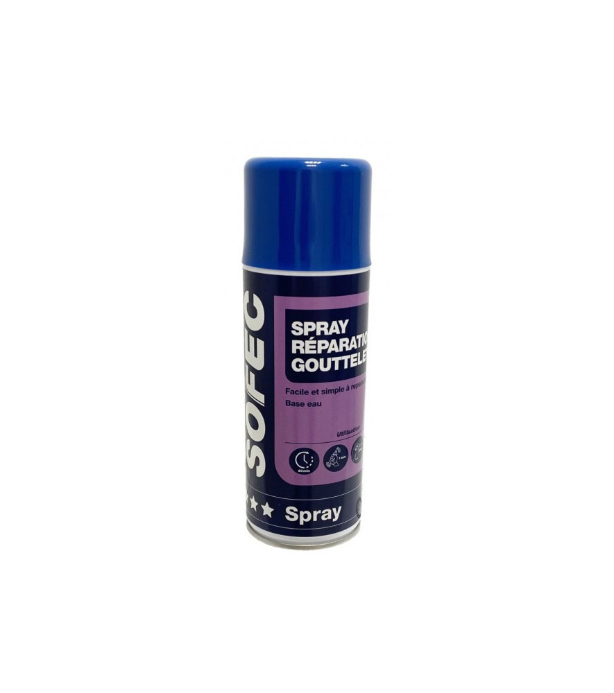 Spray Réparation Gouttelette blanc 400ml Spray Réparation Gouttelette blanc 400ml