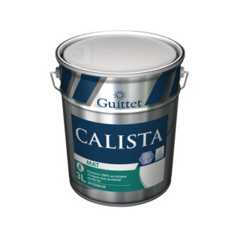 Peinture GUITTET Calista mat blanc 3L