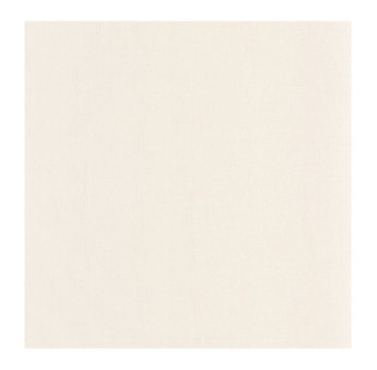 Papier Peint CASADECO Etamine ETAM200250220