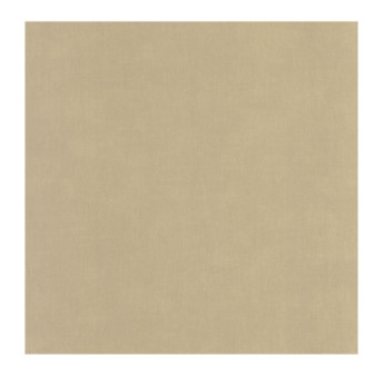 Papier Peint CASADECO Etamine ETAM200251919