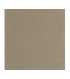 Papier Peint CASADECO Etamine ETAM200252552