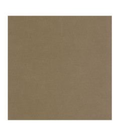 Papier Peint CASADECO Etamine ETAM200252727