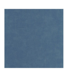 Papier Peint CASADECO Etamine ETAM200256606