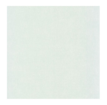 Papier Peint CASADECO Etamine ETAM200257117