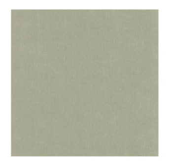 Papier Peint CASADECO Etamine ETAM200257447