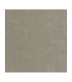 Papier Peint CASADECO Etamine ETAM200259669