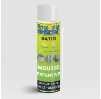 Mousse polyuréthane PARAFOAM BRICORALIA 500ml