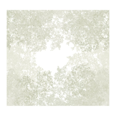 Contre-plinthe ALSAFLOOR 224 Ontario 16x16x2200mm