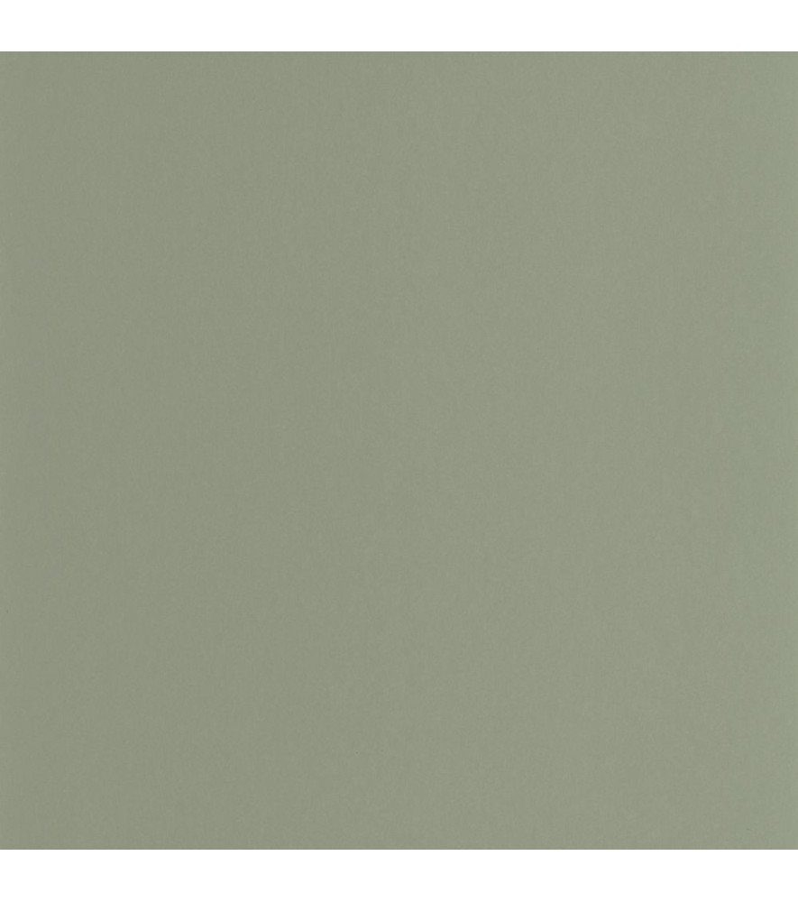 Papier Peint CASADECO Galons & Frises GAFR200336303 Papier Peint CASADECO Galons & Frises GAFR200336303