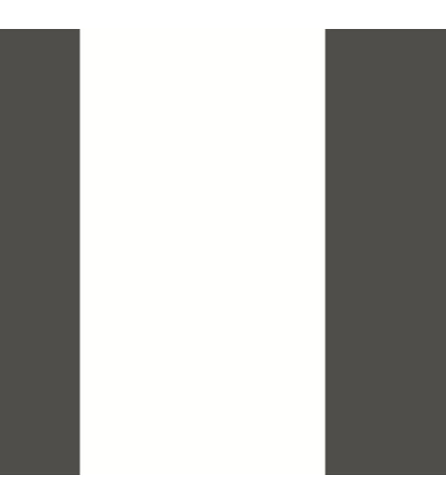 Papier Peint CASADECO Galons & Frises GAFR200479012 Papier Peint CASADECO Galons & Frises GAFR200479012