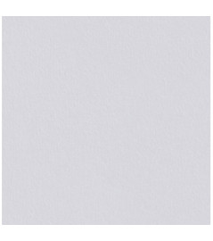Revêtement DECORALIA Intissé lisse à peindre RL de 25x1m