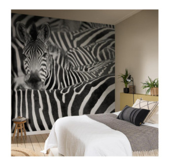 Panoramique RASCH African Queen III 363609