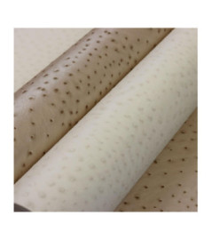Papier peint RASCH Collection AFRICAN QUEEN III référence 751536