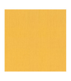 Papier Peint RASCH Indian Style 746082