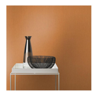 Papier peint RASCH Collection INDIAN STYLE référence 746099