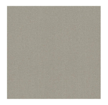 Papier Peint RASCH Plains 229195