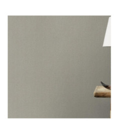 Papier peint RASCH Collection PLAINS référence 229195 série CAS