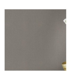 Papier peint RASCH Collection PLAINS référence 229294 série CAS