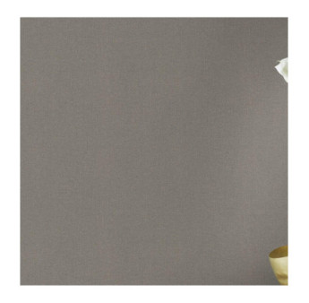 Papier peint RASCH Collection PLAINS référence 229294 série CAS