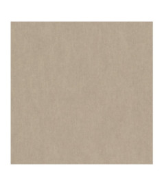 Papier Peint RASCH Plains 291000